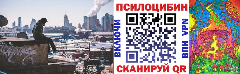 закладка  Сертолово  дарк нет Telegram  Галлюциногенные грибы MAGIC MUSHROOMS 